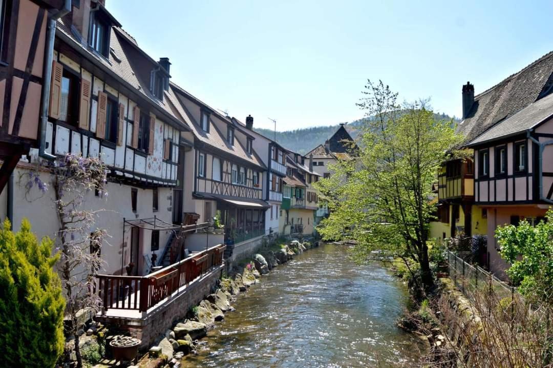 Ferienwohnung L'Ourson Colmar Exterior foto