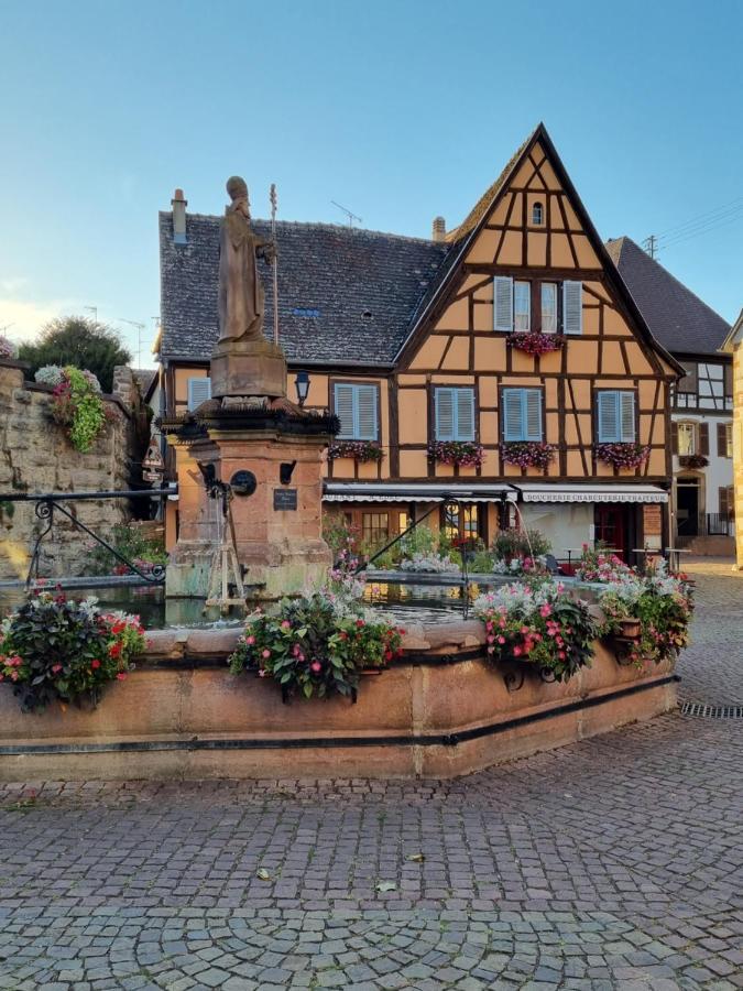 Ferienwohnung L'Ourson Colmar Exterior foto